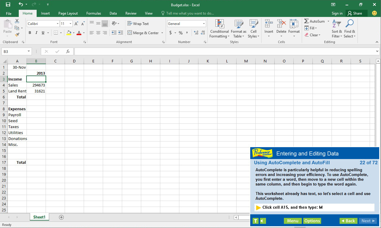 Professor Teaches Excel 2016 [Download]