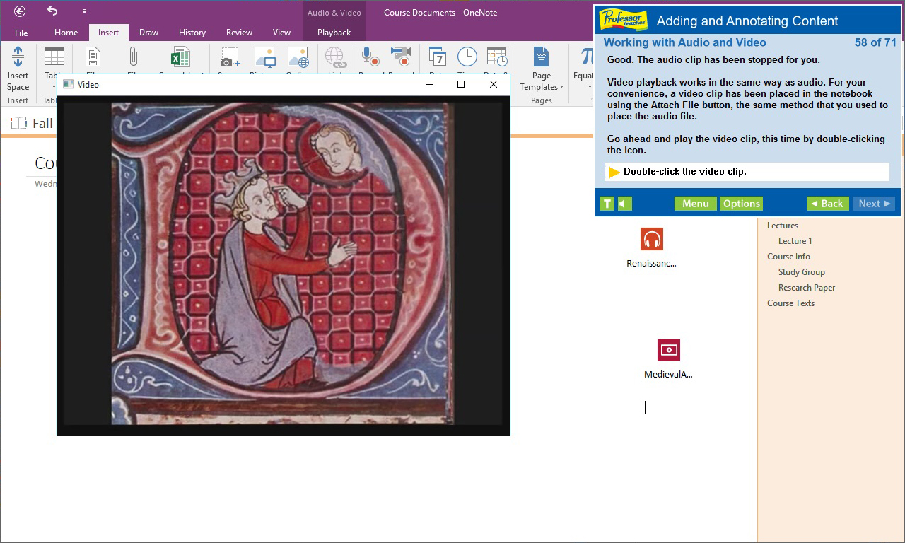 Professor Teaches OneNote 2016 [Download]