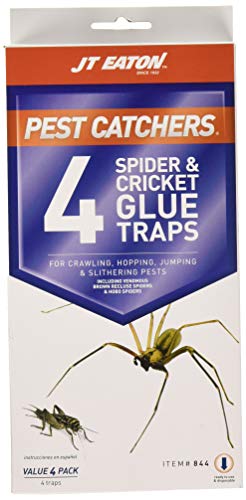 J T Eaton 646437141239 JT Eaton 844 Pest Catchers Large Spider and Cricket Size Attractant Sc