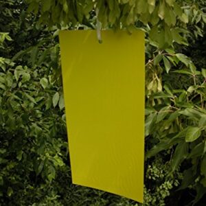 10 Pack 6"x 12" Yellow Sticky Traps for White Flies, Aphids, Gnats & Leaf Miners