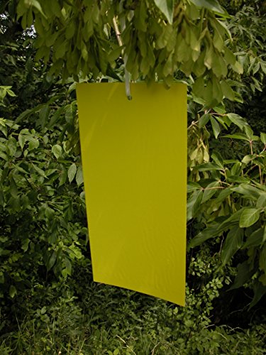10 Pack 6"x 12" Yellow Sticky Traps for White Flies, Aphids, Gnats & Leaf Miners