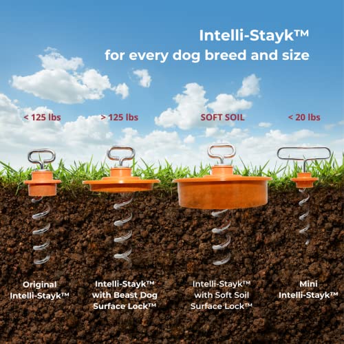 IntelliLeash Intelli-Stayk with Special Surface-Lock Technology to Prevent Pulling Out and Bending (4" Diameter)