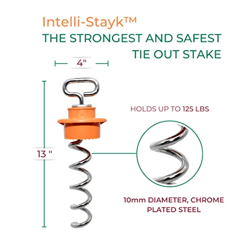 IntelliLeash Intelli-Stayk with Special Surface-Lock Technology to Prevent Pulling Out and Bending (4" Diameter)
