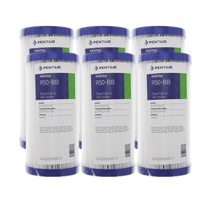 pentek r50-bb 50 micron 10 x 4.5 whole house pleated sediment filter 6 pack