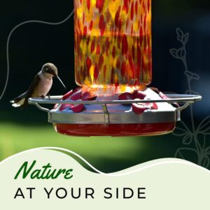 Grateful Gnome Hummingbird Feeder for Outdoors Hanging Hand Blown Glass Fiery Bell Tower 20 Fluid Ounces Free Bonus Accessories S-Hook, Ant Moat, Brush and Hemp Rope Included