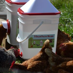 RentACoop 5 Gallon Chicken BPA-Free Plastic Bucket Waterer Set with 4 Horizontal Nipples - Corner Placement