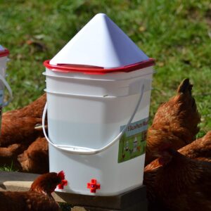 RentACoop 5 Gallon Chicken BPA-Free Plastic Bucket Waterer Set with 4 Horizontal Nipples - Corner Placement