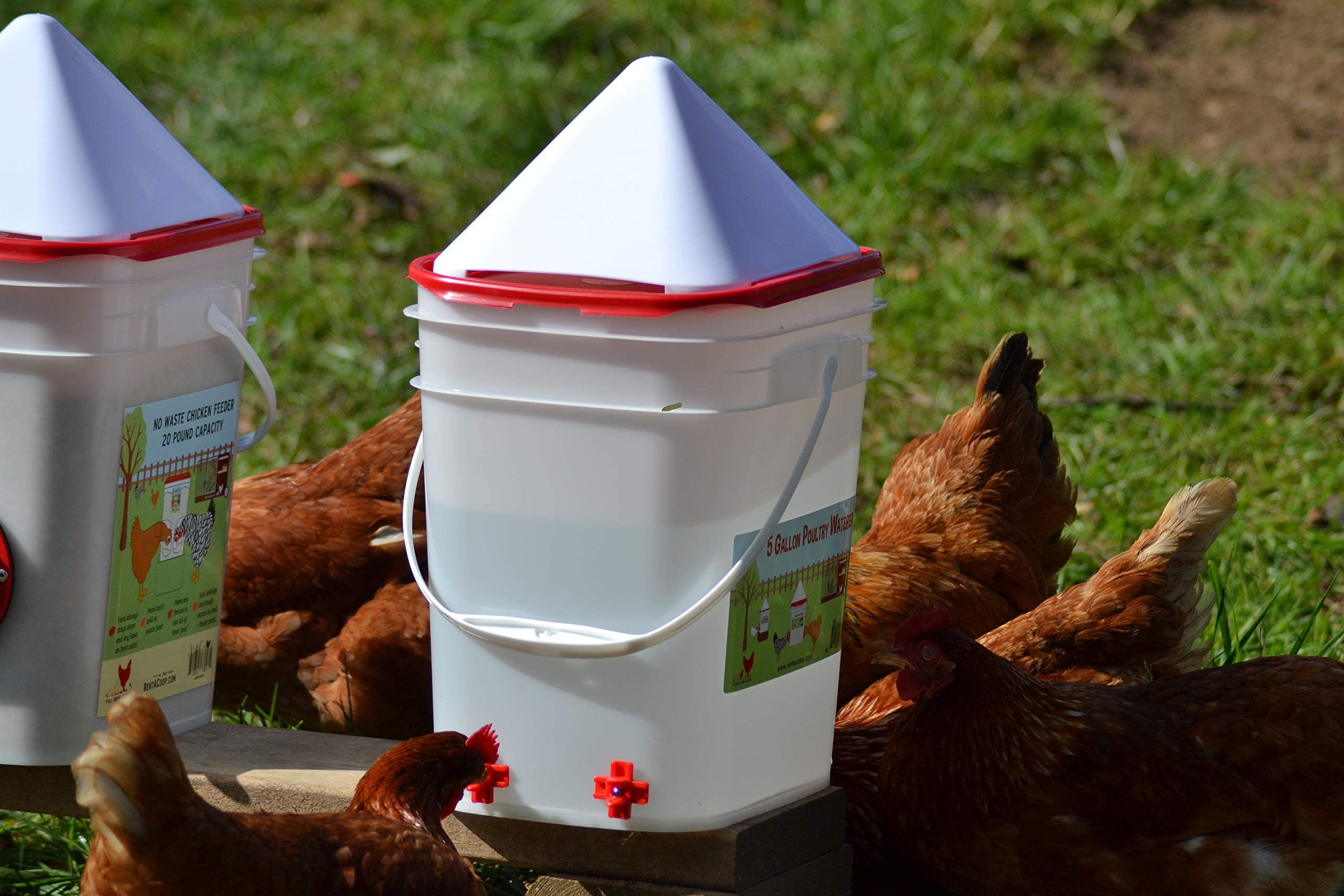 RentACoop 5 Gallon Chicken BPA-Free Plastic Bucket Waterer Set with 4 Horizontal Nipples - Corner Placement