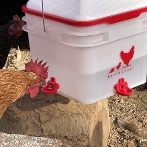 RentACoop 2 Gallon Chicken BPA-Free Plastic Bucket Waterer Set with 4 Horizontal Nipples - Center Placement