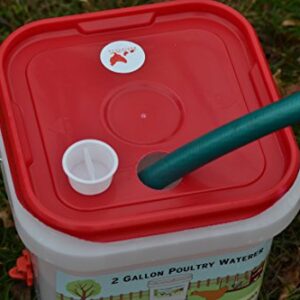 RentACoop 2 Gallon Chicken BPA-Free Plastic Bucket Waterer Set with 4 Horizontal Nipples - Center Placement