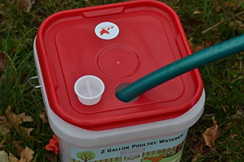 RentACoop 2 Gallon Chicken BPA-Free Plastic Bucket Waterer Set with 4 Horizontal Nipples - Center Placement