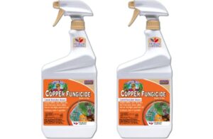 bonide products 775 ready-to-use copper fungicide, 32-ounce [2-pack]