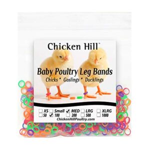 Baby Poultry Leg Bands 1/4" Medium Chick (100)