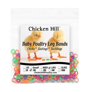 100 baby poultry leg bands 5/16" large size 5 chick (100)