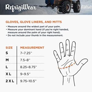 RefrigiWear Insulated Extreme Freezer Gloves, Winter Work Gloves, -30°F Comfort Rating (Black, Large)