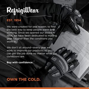 RefrigiWear Insulated Extreme Freezer Gloves, Winter Work Gloves, -30°F Comfort Rating (Black, Large)