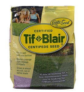 tifblair centipede grass seed (1 lb.) direct from the farm