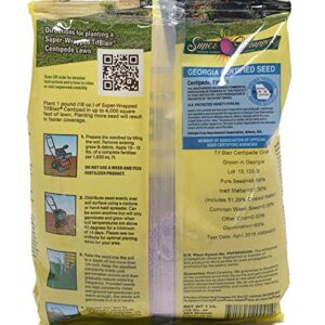 TifBlair Centipede Grass Seed (1 Lb.) Direct from The Farm
