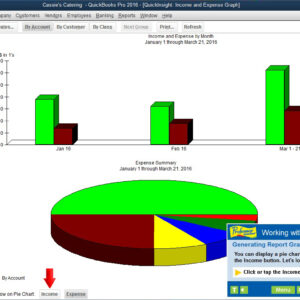 Professor Teaches QuickBooks 2016 [Download]