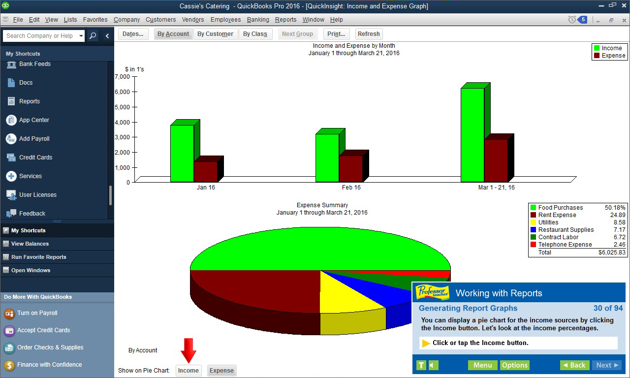 Professor Teaches QuickBooks 2016 [Download]