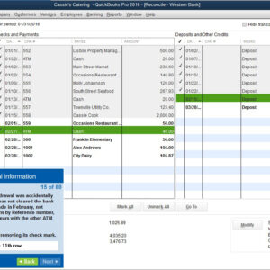 Professor Teaches QuickBooks 2016 Tutorial Set Download [Download]