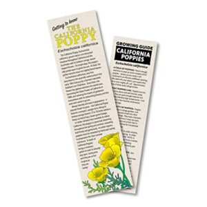 California Poppy | Flower Seed Grow Kit | The Jonsteen Company