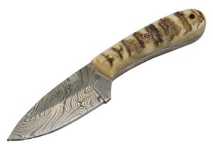 texan knives damascus steel short skinner knives fixed blade knife with sheep's horn handle includes leather sheath, 6.75" l