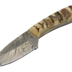 Texan Knives Damascus Steel Short Skinner Knives Fixed Blade Knife with Sheep's Horn Handle Includes Leather Sheath, 6.75" L