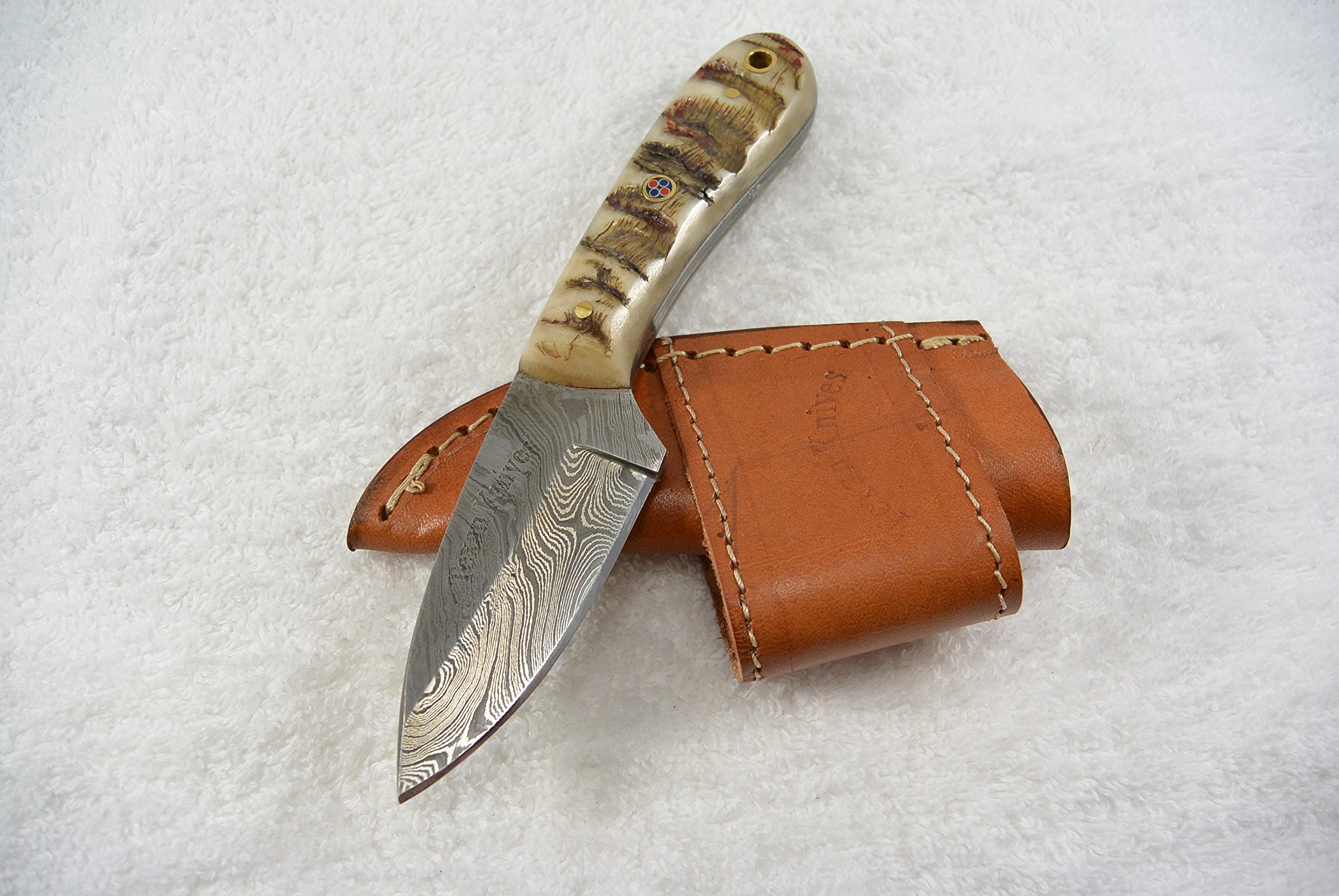 Texan Knives Damascus Steel Short Skinner Knives Fixed Blade Knife with Sheep's Horn Handle Includes Leather Sheath, 6.75" L