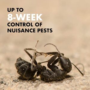 Spectracide Terminate Termite & Carpenter Ant Killer Concentrate, Kills Termites, Ants and Carpenter Ants, 32 fl Ounce