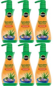 miracle-gro foaming succulent plant food, 8 oz (6 pack)