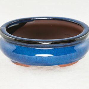 Oval Mame Shohin Bonsai / Cactus & Succulent Pot + Mesh 6"x 5"x 2" - Dark Blue Stain