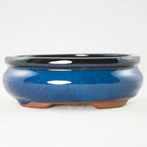 Oval Mame Shohin Bonsai / Cactus & Succulent Pot + Mesh 6"x 5"x 2" - Dark Blue Stain