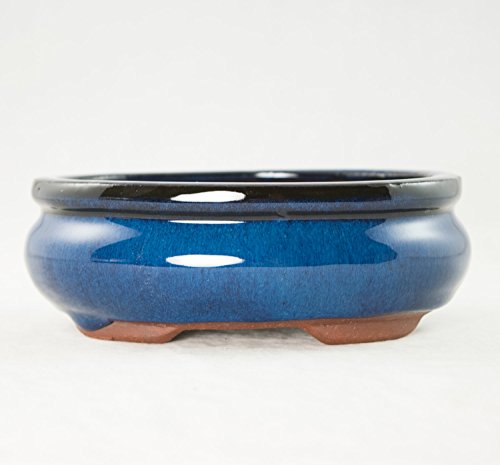 Oval Mame Shohin Bonsai / Cactus & Succulent Pot + Mesh 6"x 5"x 2" - Dark Blue Stain