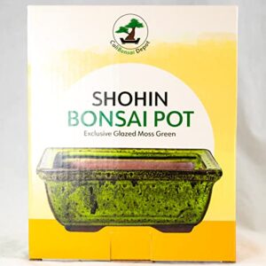 Rectangular Shohin Bonsai Pot, Cactus & Succulent Planter 6"x 4.5"x 2.25" w/Mesh & Wire - Moss Green