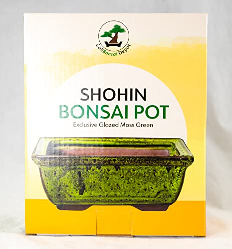 Rectangular Shohin Bonsai Pot, Cactus & Succulent Planter 6"x 4.5"x 2.25" w/Mesh & Wire - Moss Green