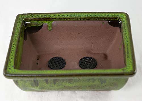 Rectangular Shohin Bonsai Pot, Cactus & Succulent Planter 6"x 4.5"x 2.25" w/Mesh & Wire - Moss Green