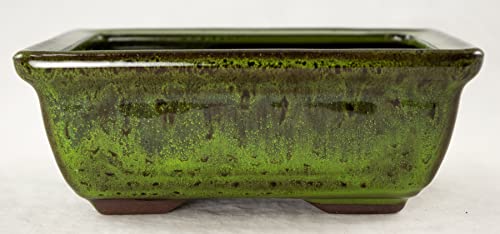 Rectangular Shohin Bonsai Pot, Cactus & Succulent Planter 6"x 4.5"x 2.25" w/Mesh & Wire - Moss Green