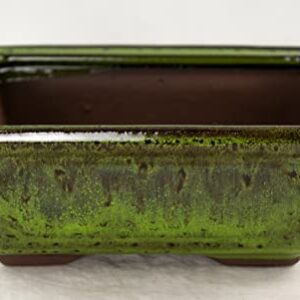 Rectangular Shohin Bonsai Pot, Cactus & Succulent Planter 6"x 4.5"x 2.25" w/Mesh & Wire - Moss Green