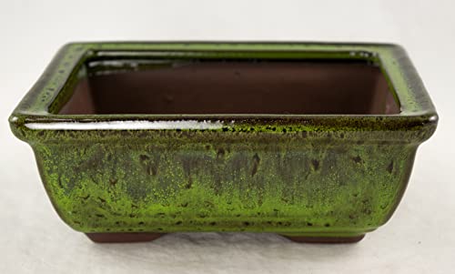 Rectangular Shohin Bonsai Pot, Cactus & Succulent Planter 6"x 4.5"x 2.25" w/Mesh & Wire - Moss Green