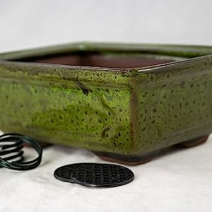 Rectangular Shohin Bonsai Pot, Cactus & Succulent Planter 6"x 4.5"x 2.25" w/Mesh & Wire - Moss Green