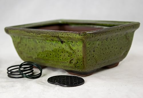 Rectangular Shohin Bonsai Pot, Cactus & Succulent Planter 6"x 4.5"x 2.25" w/Mesh & Wire - Moss Green