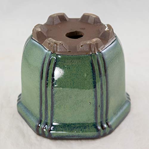 Semi-Cascade Hexagon Dark Green Shohin Bonsai Pot w/Mesh - 4.25"x 4.25"x 3.25"