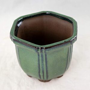 Semi-Cascade Hexagon Dark Green Shohin Bonsai Pot w/Mesh - 4.25"x 4.25"x 3.25"