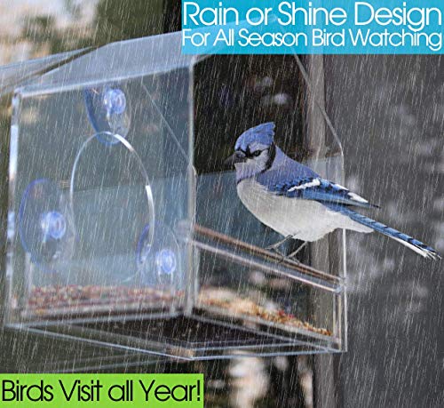 Nature Gear Window Bird Feeder - Refillable Sliding Tray - Weather Proof - Snow and Squirrel Resistant - Drains Rain Water - See Songbirds from Home! (House Style) (House Model)