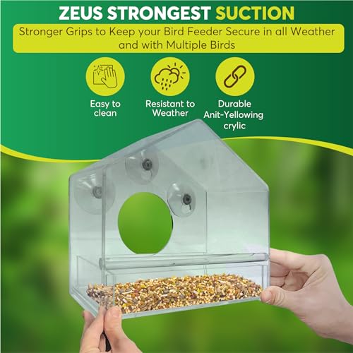 Nature Gear Window Bird Feeder - Refillable Sliding Tray - Weather Proof - Snow and Squirrel Resistant - Drains Rain Water - See Songbirds from Home! (House Style) (House Model)