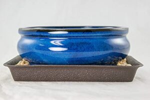 6" oval dark blue mame shohin bonsai/succulent pot + tray + rock + mesh combo