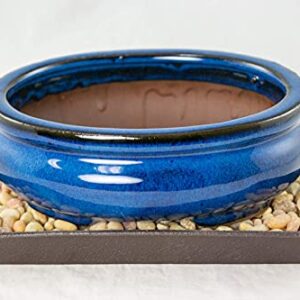 6" Oval Dark Blue Mame Shohin Bonsai/Succulent Pot + Tray + Rock + Mesh Combo