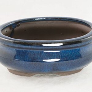 Oval Mame Shohin Bonsai/Cactus & Succulent Pot + Mesh 5"x 4"x 2" - Dark Blue Glazed