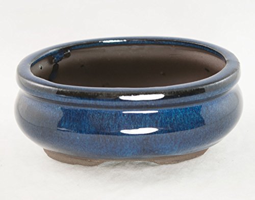 Oval Mame Shohin Bonsai/Cactus & Succulent Pot + Mesh 5"x 4"x 2" - Dark Blue Glazed